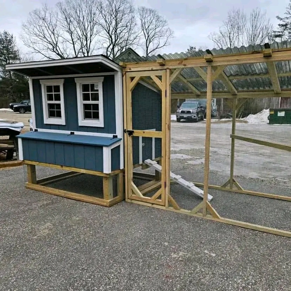 5x6 Hamilton Blue Coop