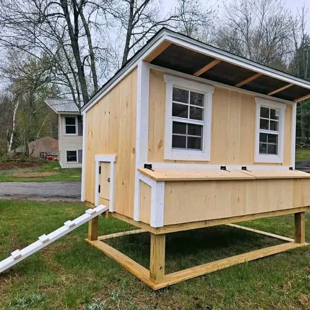 5x8 Shiplap Pine Coop