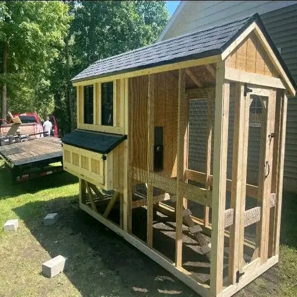 Chicken Coop..