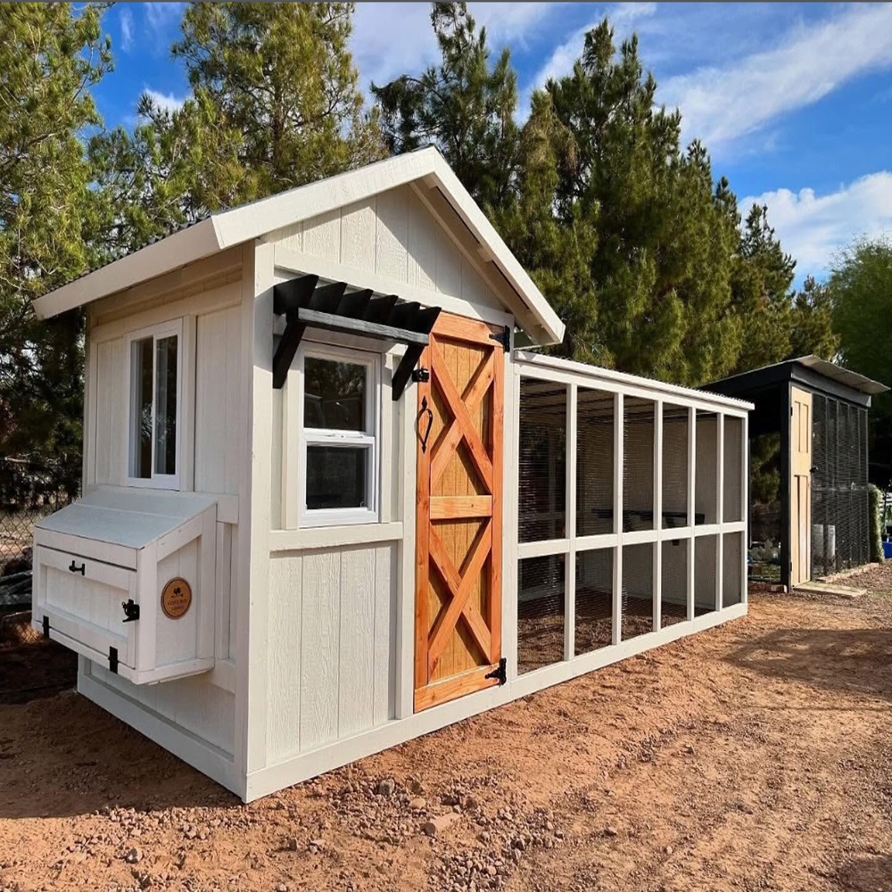 Custom Chicken Coop